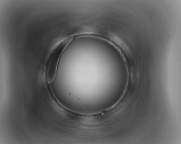 X0000114541452200910191332