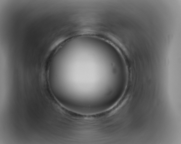 X0000114541453200910191332