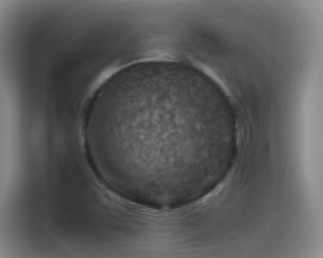 X0000114541455200910191332