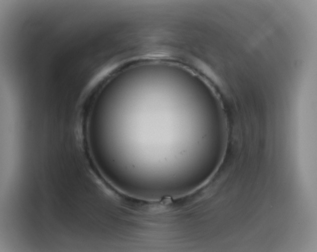 X0000114541456200910191332