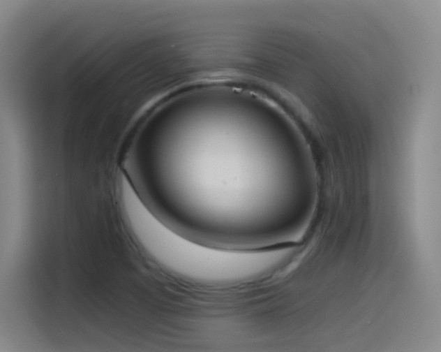 X0000114541457200910191332