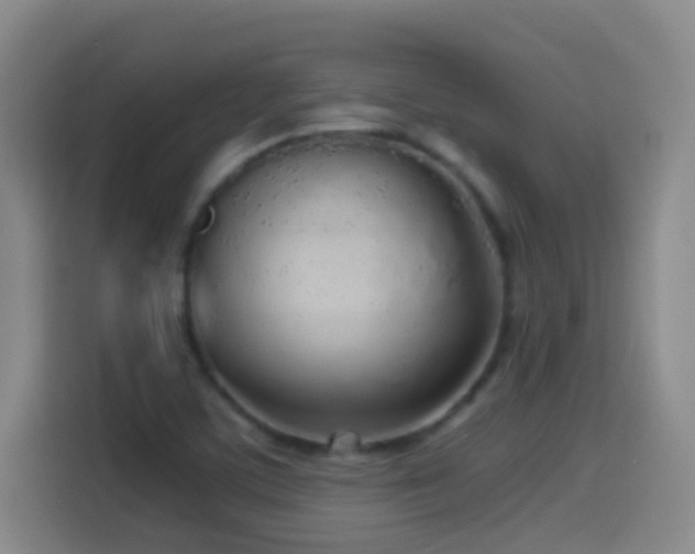 X0000114541459200910191332