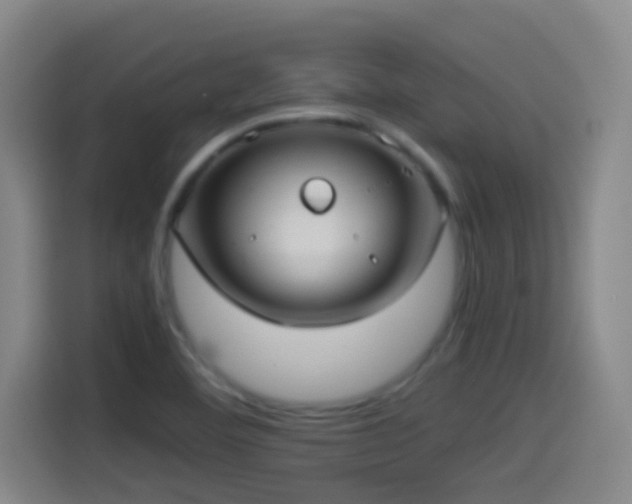 X0000114541460200910191332