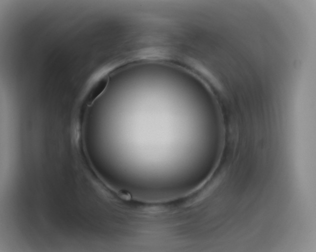 X0000114541461200910191332