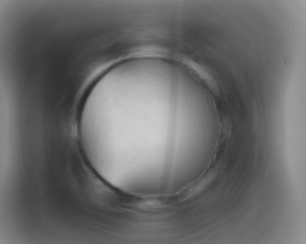 X0000114541462200910191332