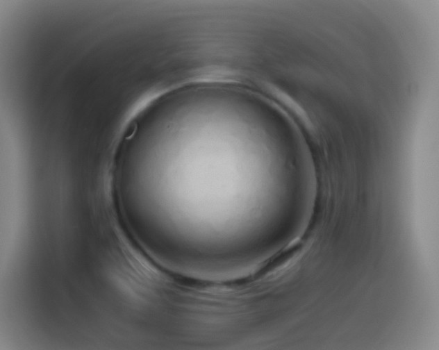 X0000114541463200910191332