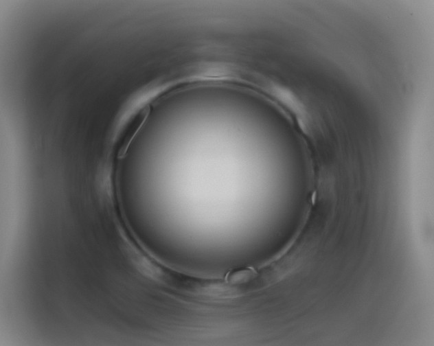 X0000114541464200910191332