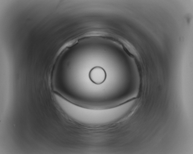 X0000114541465200910191332