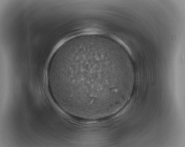 X0000114541467200910191332