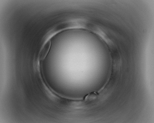 X0000114541468200910191332