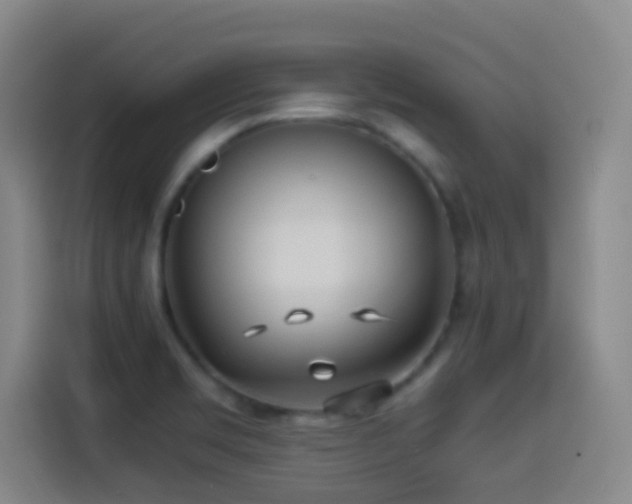 X0000114541469200910191332