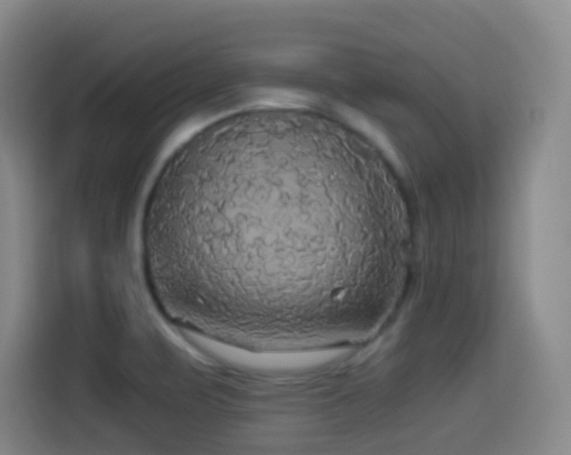 X0000114541471200910191332