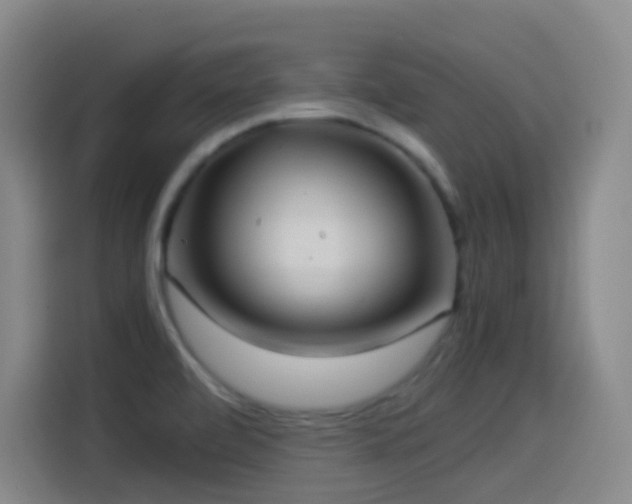 X0000114541472200910191332