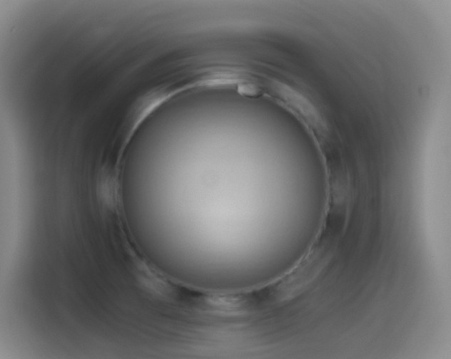 X0000114541473200910191332