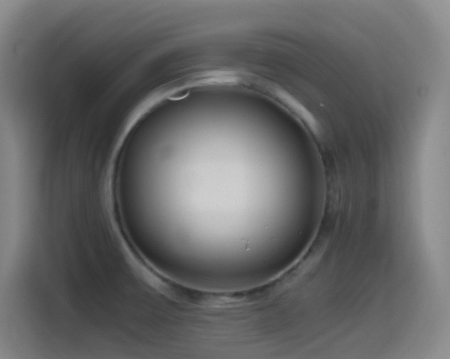 X0000114541475200910191332