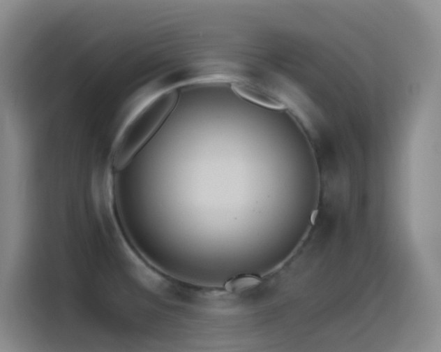 X0000114541476200910191332