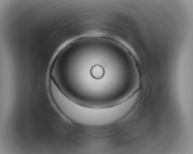 X0000114541477200910191332