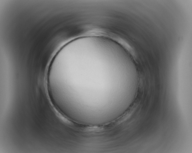 X0000114541478200910191332