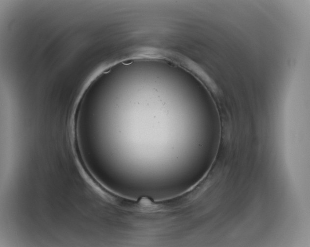 X0000114541479200910191332