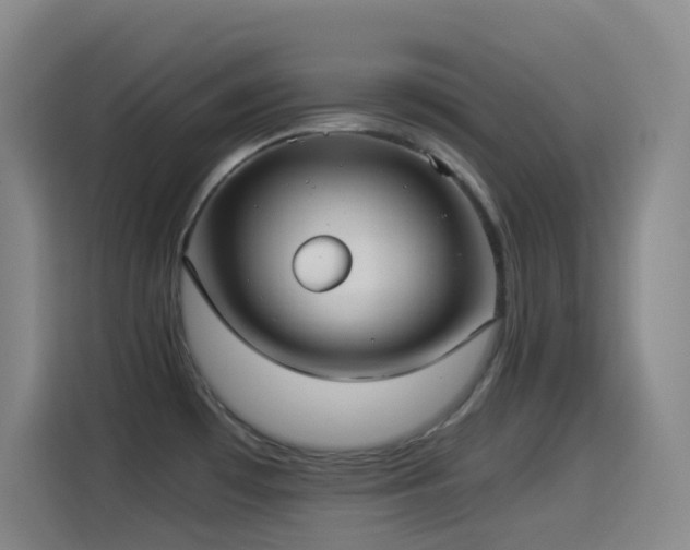 X0000114541481200910191332