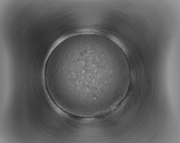 X0000114541482200910191332