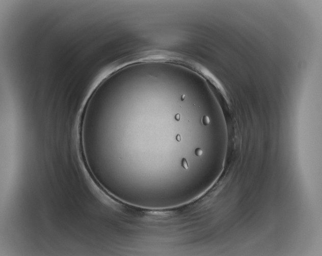 X0000114541483200910191332