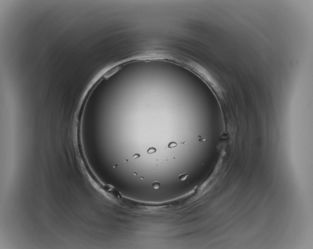 X0000114541484200910191332