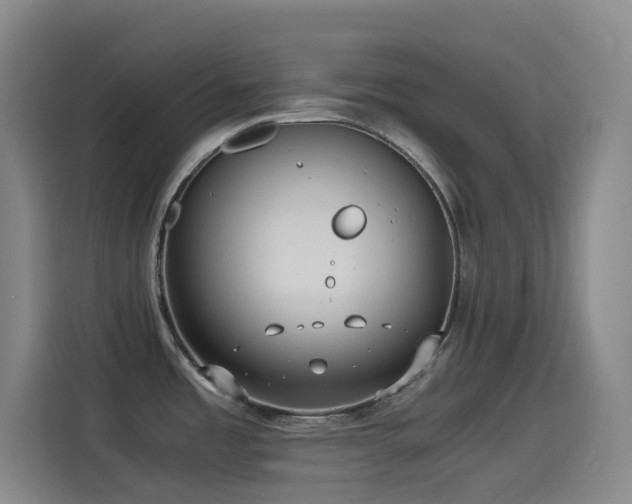 X0000114541485200910191332