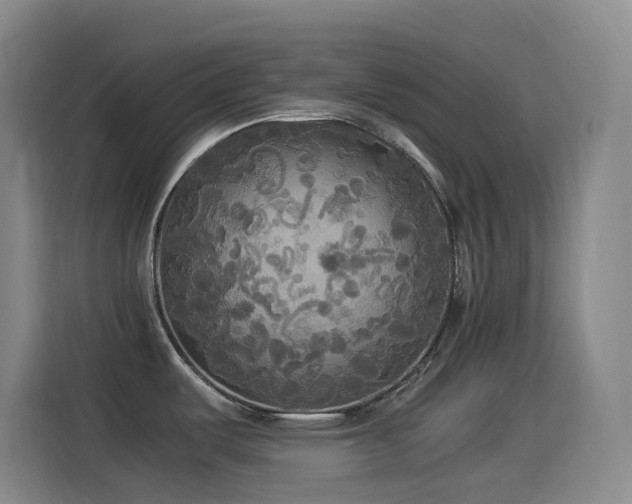 X0000114541487200910191332