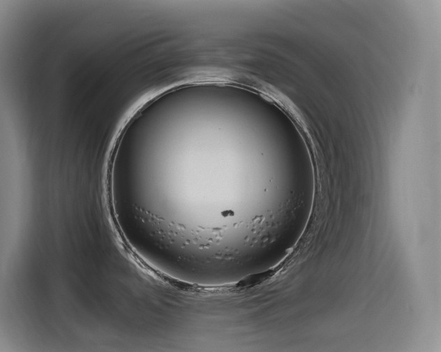 X0000114541488200910191332