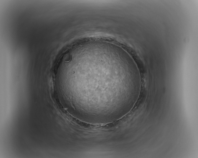 X0000114541493200910191331