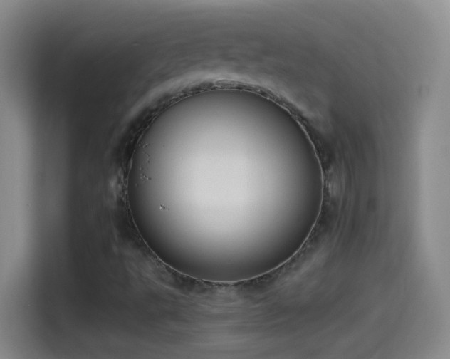 X0000114541495200910191331