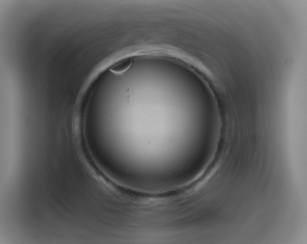 X0000114541506200910191331