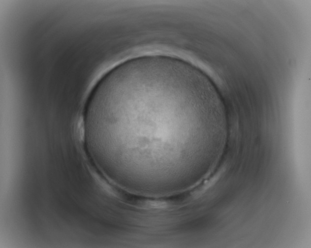 X0000114541509200910191331