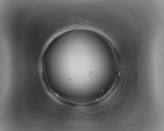 X0000114541511200910191331