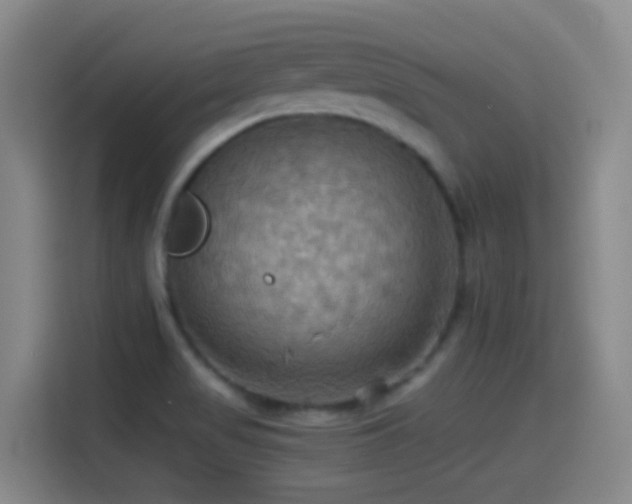 X0000114541517200910191331