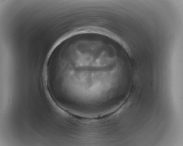 X0000114541522200910191331