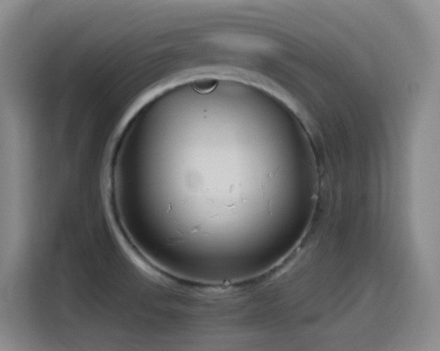 X0000114541523200910191331