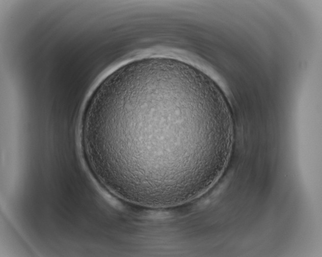 X0000114541525200910191332