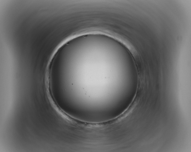 X0000114541526200910191332