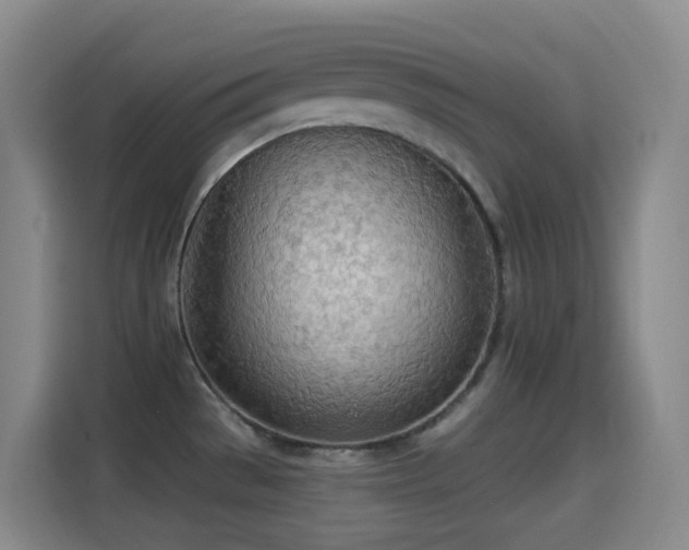 X0000114541529200910191332