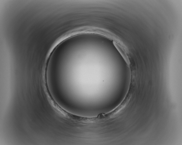 X0000114541530200910191332