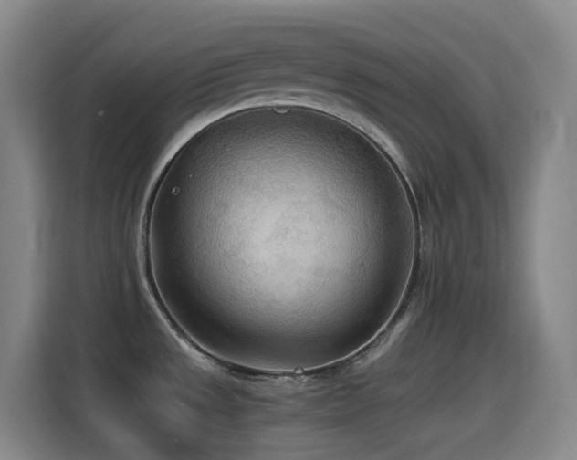 X0000114541533200910191332