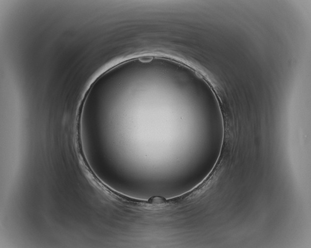 X0000114541534200910191332