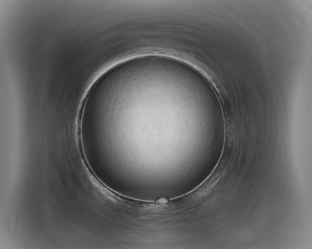 X0000114541535200910191332