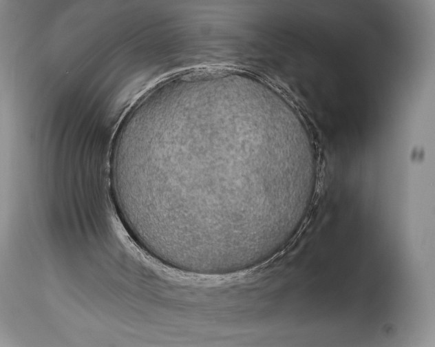 X0000114540002200911091143