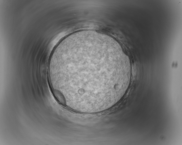 X0000114540003200911091143