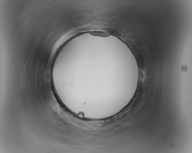 X0000114540004200911091143