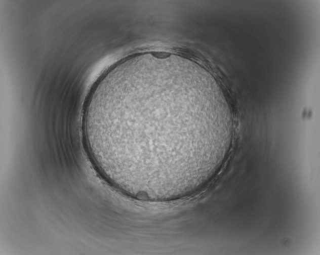 X0000114540006200911091143