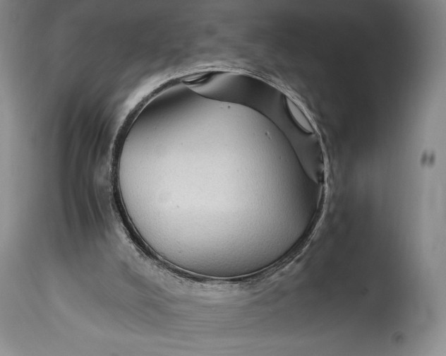 X0000114540008200911091143